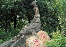 新浦高公岛凰窝景区天气 新浦高公岛凰窝景区天气