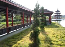 盐都区华都森林公园天气 盐都区华都森林公园天气