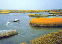 姜堰溱湖国家湿地公园天气 姜堰溱湖国家湿地公园天气