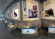 溧阳中华曙猿馆天气 溧阳中华曙猿馆天气