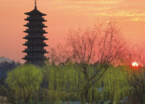 宜兴龙背山森林公园天气 宜兴龙背山森林公园天气