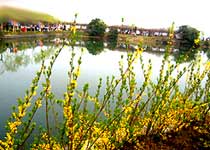 常熟尚湖景区天气 常熟尚湖景区天气