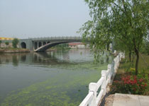 太仓双凤古镇天气 太仓双凤古镇天气