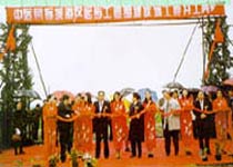 太仓中远国际城天气 太仓中远国际城天气