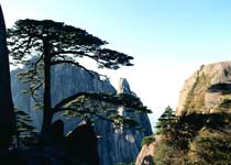 黄山迎客松天气 黄山迎客松天气