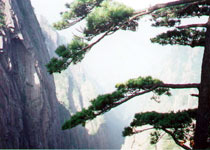 黄山回音壁天气 黄山回音壁天气