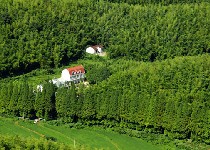 花山濮塘风景区天气 花山濮塘风景区天气