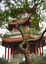 琅琊会峰阁天气 琅琊会峰阁天气