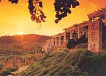 崂山百利酒庄天气 崂山百利酒庄天气