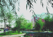 即墨天泰温泉度假区天气 即墨天泰温泉度假区天气