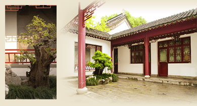 南京太平天国历史博物馆天气 南京太平天国历史博物馆天气