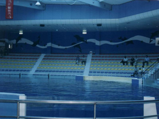 南京海底世界天气 南京海底世界天气