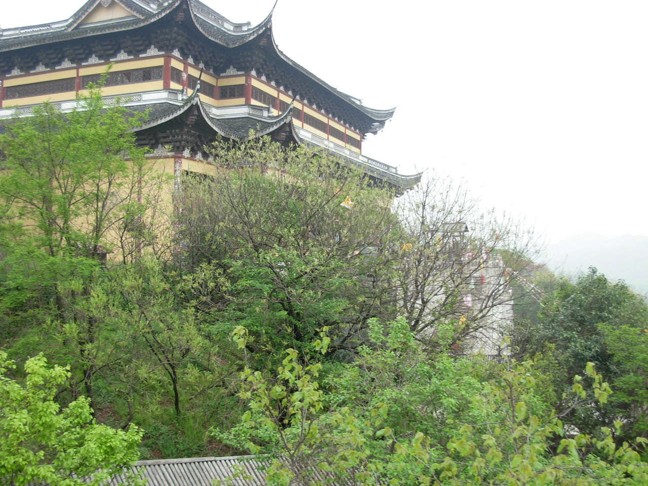 宜兴善卷天气 宜兴善卷天气