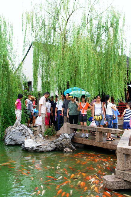 吴江同里珍珠塔天气 吴江同里珍珠塔天气