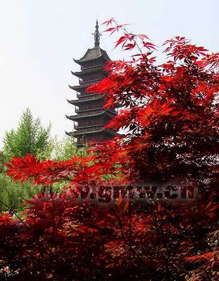 常熟方塔园天气 常熟方塔园天气