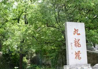 连云港九龙桥天气 连云港九龙桥天气