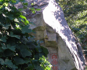 连云港娲遗石天气 连云港娲遗石天气