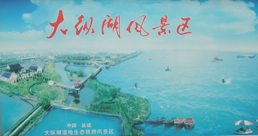 盐城大纵湖天气 盐城大纵湖天气