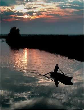 兴化大纵湖风光带天气 兴化大纵湖风光带天气