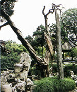 兴化郑板桥纪念馆天气 兴化郑板桥纪念馆天气