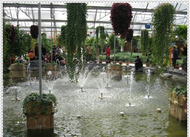 合肥丰乐生态园天气 合肥丰乐生态园天气