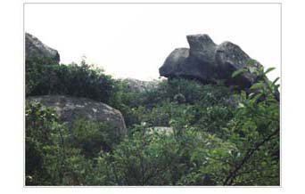 合肥浮槎山天气 合肥浮槎山天气
