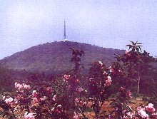 合肥大蜀山森林公园天气 合肥大蜀山森林公园天气