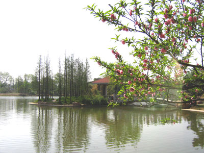 合肥植物园天气 合肥植物园天气