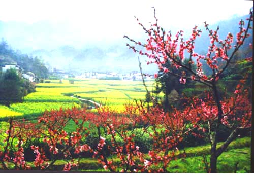 黄山歙县上丰花果山天气 黄山歙县上丰花果山天气