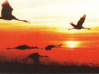 池州升金湖天气 池州升金湖天气