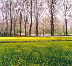 济南黄河森林公园天气 济南黄河森林公园天气