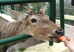 青岛动物园天气 青岛动物园天气