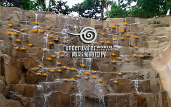 青岛海底世界天气 青岛海底世界天气