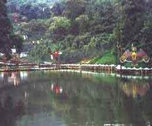 青岛植物园天气 青岛植物园天气