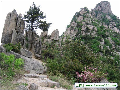 青岛胶州艾山天气 青岛胶州艾山天气