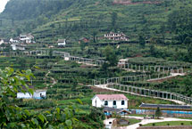 枣庄熊耳山洪门葡萄村天气 枣庄熊耳山洪门葡萄村天气