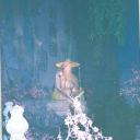 烟台封神游乐宫天气 烟台封神游乐宫天气