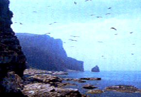 烟台长岛天气 烟台长岛天气