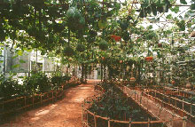 烟台农业科技旅游博览园天气 烟台农业科技旅游博览园天气