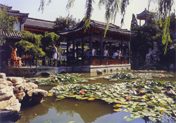 潍坊十笏园天气 潍坊十笏园天气