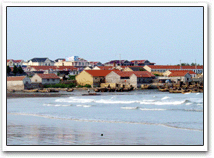 日照任家台村天气 日照任家台村天气