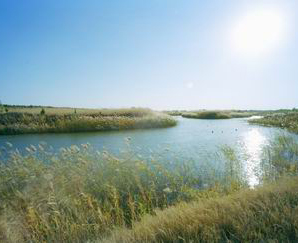 德州禹西生态农业观光园天气 德州禹西生态农业观光园天气