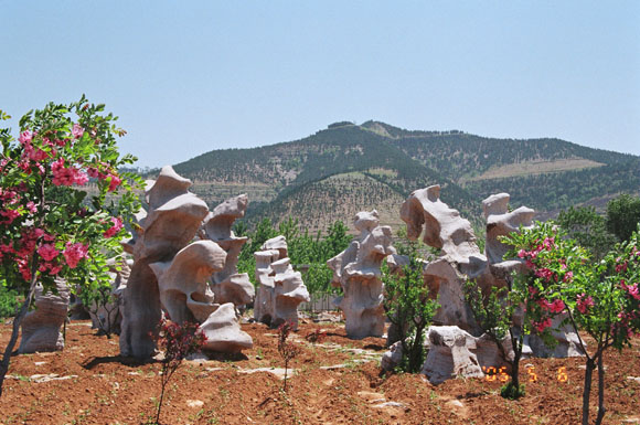 临沂石林梨乡天气 临沂石林梨乡天气