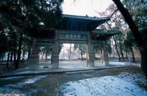 曲阜孔林天气 曲阜孔林天气