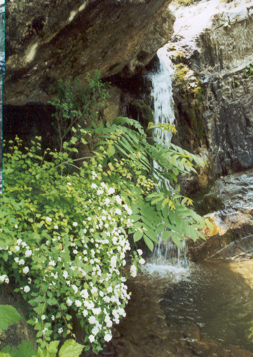 密云九龙十八潭天气