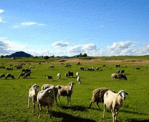 延庆康西草原天气 延庆康西草原天气