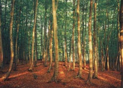 延庆玉渡山天气 延庆玉渡山天气