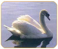 郑州动物园天气 郑州动物园天气