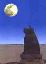 郑州花园口天气 郑州花园口天气