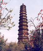 开封铁塔公园天气 开封铁塔公园天气